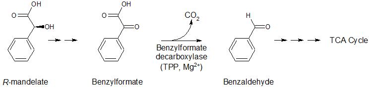 benzylformate decarboxylase