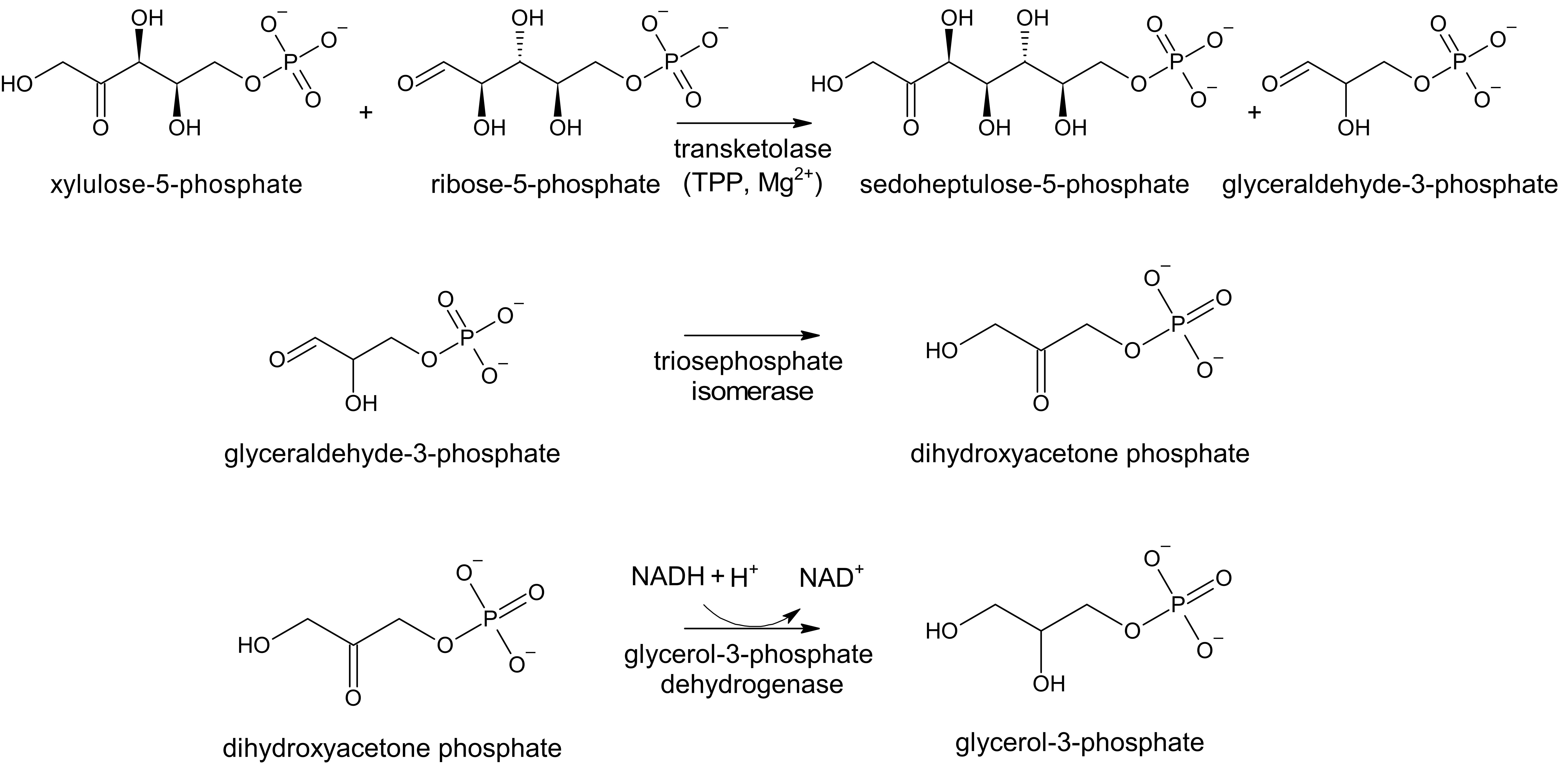 erythrocyte transketolase assay (ETKA)