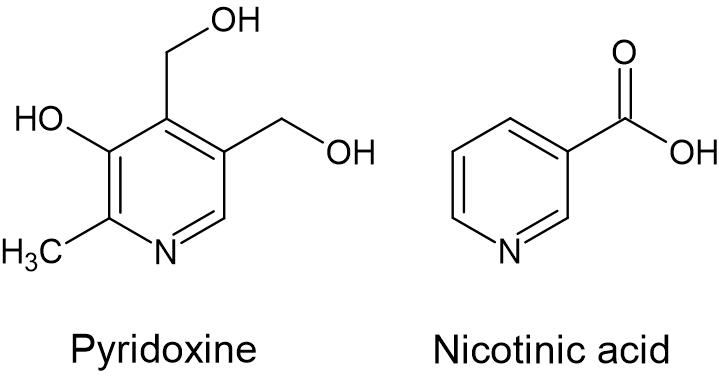 nicotinic acid and pyridoxine