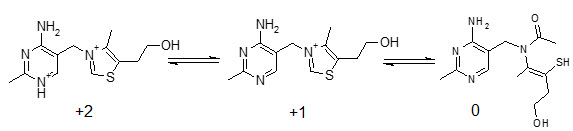 forms of thiamine with respect to pH