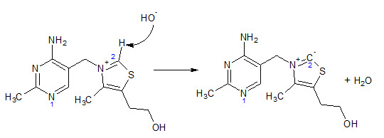 thiamine ylide